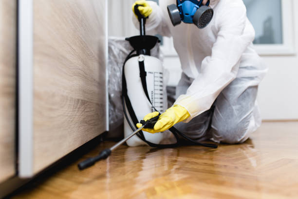 Best Termite Control Services  in Island Heights, NJ