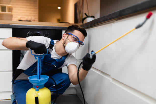 Best Bed Bug Extermination  in Island Heights, NJ