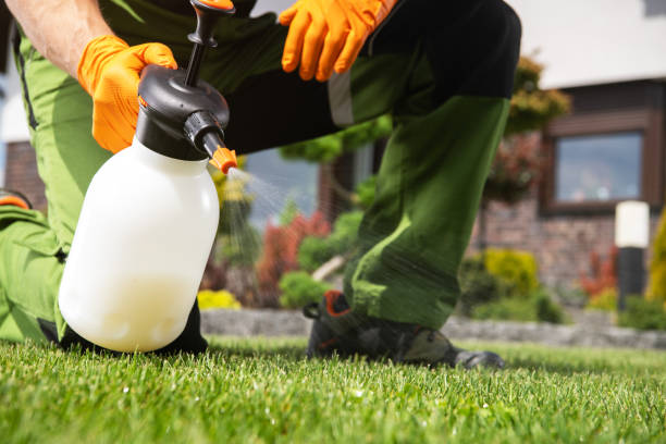 Best Residential Pest Control  in Island Heights, NJ
