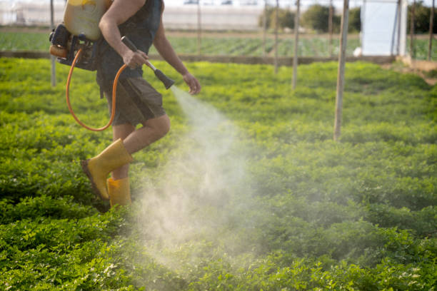 Pest Control Cost in Island Heights, NJ