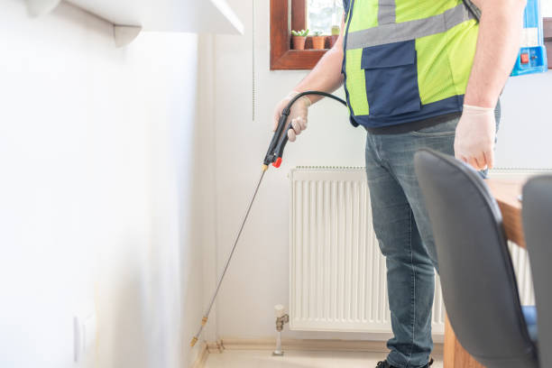 Best Flea Control Services  in Island Heights, NJ