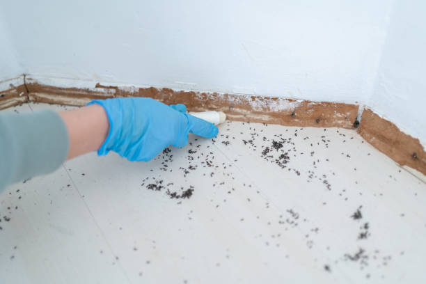 Best Exterminator Services  in Island Heights, NJ